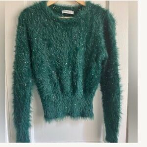 Zara Knit Emerald Sweater with Sparkle